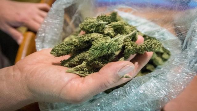 Pas paralajmërimit të shefit të sigurisë, kapet një një sasi e madhe droge në kufirin greko-shqiptar