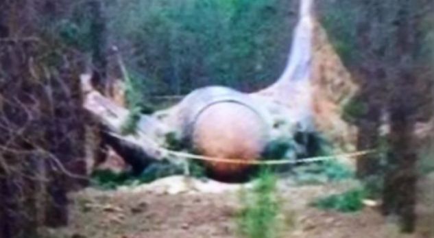 VIDEO/ ZBULOHET objekti jashtëtokësor, i rrëzuar në pyjet e Australisë