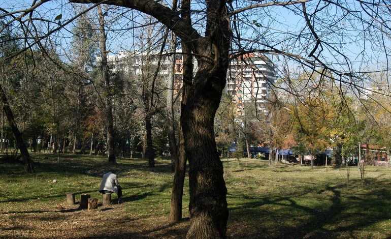 TRAGJIKE NE LUSHNJE/ Prindërit gjejnë të varur në pemë vajzën 17-vjeçare
