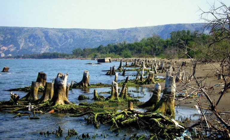 Shqipëria po ZVOGËLOHET, toka në bregdet po përpihet nga EROZIONI
