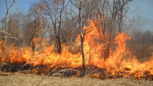 NDODH NE FIER! Po pastronte tokën nga mbeturinat, fieraku djeg aksidentalisht urën e fshatit por…