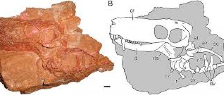 Zbulimi i rëndësishëm/ Grabitqarët kanë ekzistuar para dinosaurëve