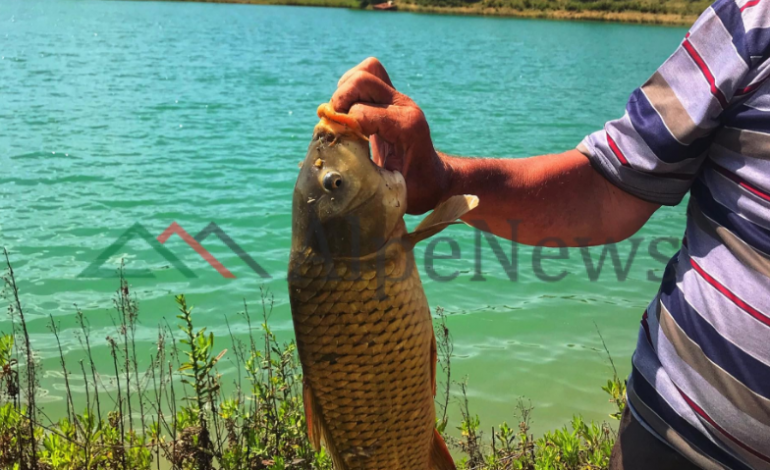 “Peshk për të tërë”/ Eksploruesja rrëfen për ALPENEWS: Fshatarët më ndihmuan të mësoja si të gjuaja për… (FOTO)