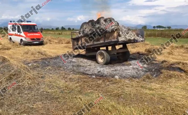 TRAGJIKE NË SHKODËR/ Si humbi jetën GRUAJA nga rrufeja, teksa punonte tokën. Dalin PAMJET…