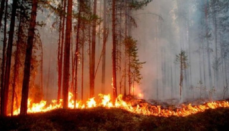 VALA E TË NXEHTIT DHE THATËSIRËS/ Situate alarmante, zjarret pushtojnë malet