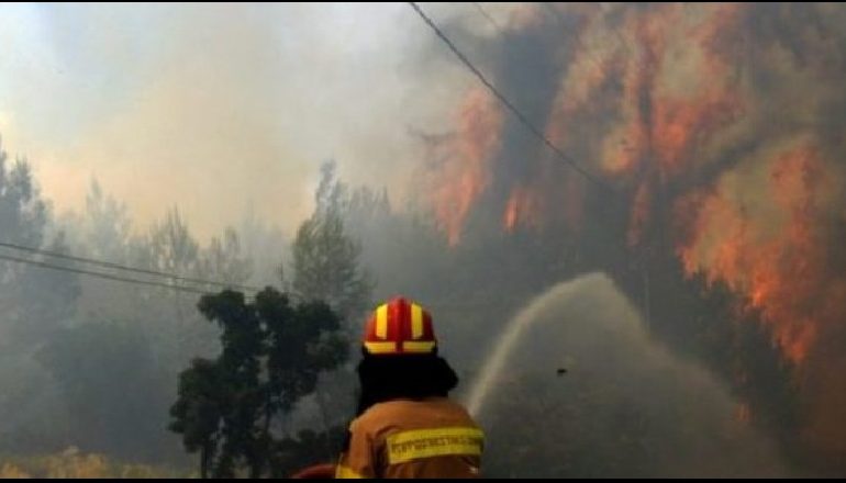 Zjarre masive në Greqi, shkrumbohen mbi 100 shtëpi pranë Peloponezit