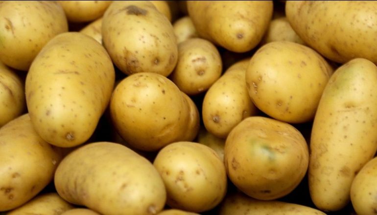 Kujdes nga konsumimi i patates, përmban shumë sheqer