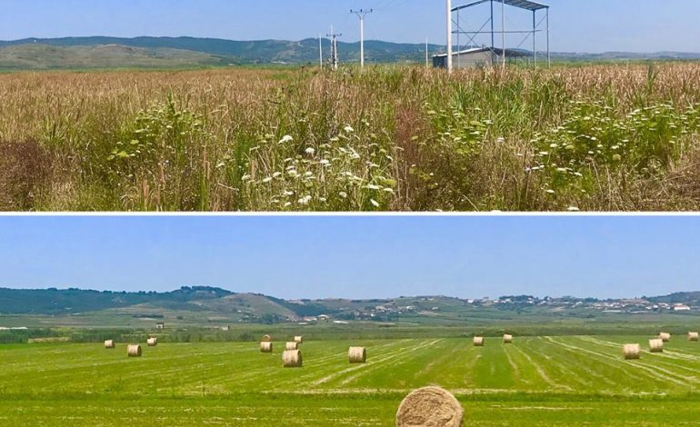 KEQPËRDORIMI I TOKËS BUJQËSORE/ “Ky është super krim”, Braçe kundër Niko Peleshit, i nxjerr faktet ministrit të PS