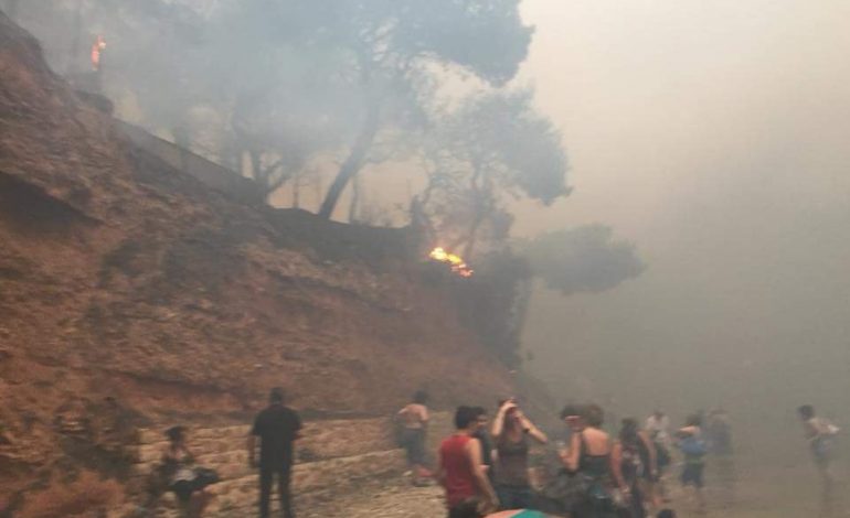 ZJARRET NE GREQI/ Tre shqiptarë të vdekur, dy fëmijë dhe një emgrant nga Tepelena të cilit…