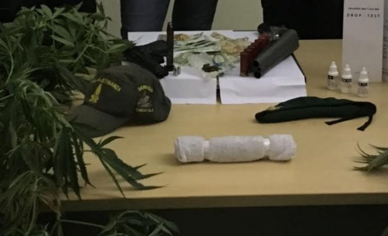 Plantacion droge ME VLERE 250 MIJE EURO/ Si e kishin ndërtuar shqiptarët SEREN, rrethuar me bimë dhe…