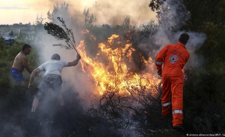 PAMJET SHOKUESE/ Si u SHPËTUAN të plagosurit. Oficeri grek mes britmave: A ka gra shtatëzëna (VIDEO)
