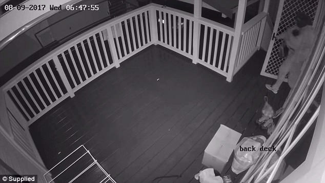 Kishte gënjyer se ishte shtatzënë, rrëmben fëmijen 11-muajsh të familjes ku punonte (VIDEO)