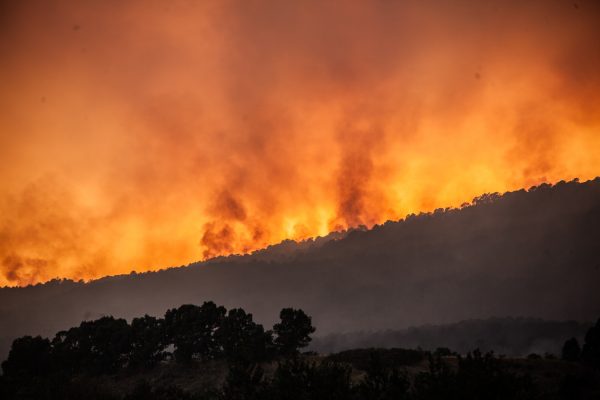 ALARMI I ZJARREVE NË TË GJITHË EUROPËN/ Pas Greqisë edhe Italia në emergjencë: Dhjetëra hektarë të shkrumbuar