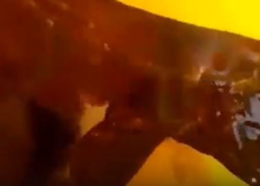 Krijesa e çuditshme kapet në Shëngjin, çfarë mund të jetë? VIDEOJA e dyshimtë që tregon…