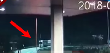 I DEHUR DHE PA PATENTE/ Shoferi i kamionit përfundon në oborrin e banesës, shtyp disa bagëti në Peqin (VIDEO)