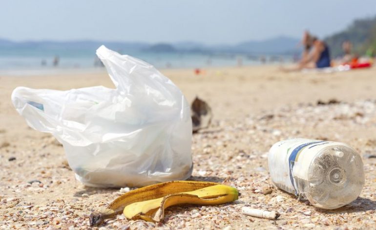Vendet në të cilat është ndaluar me ligj përdorimi i qeseve plastike