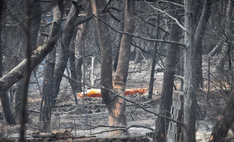 ZJARRET NE GREQI/ Mes qindra personave të humbur ndodhen dy SHQIPTARE, ishin punonjëse në…