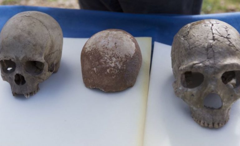 SHKENCETARET JAPIN LAJMIN E MADH/ Zbulohet dëshmia më e hershme e njerëzve jashtë Afrikës