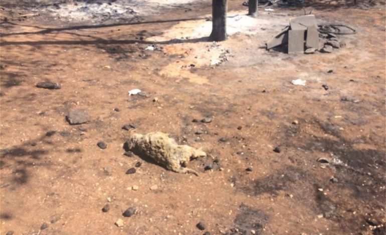TRAGJEDIA NE GREQI/ Dalin PAMJET nga oborri i restorantit ku u dogjën të gjallë 26 njerëz… (VIDEO-FOTO)