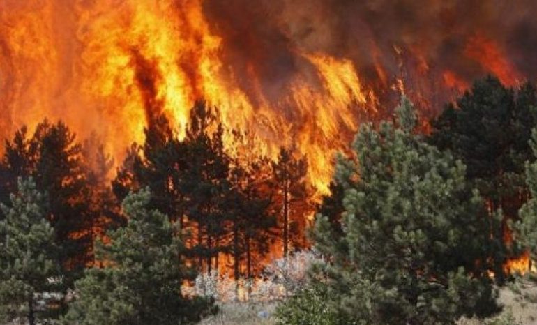 GREQIA NË ALARM EMERGJENT NGA ZJARRET/ A rrezikohet edhe SHQIPËRIA? Goxhaj: Duhet të jemi gati…