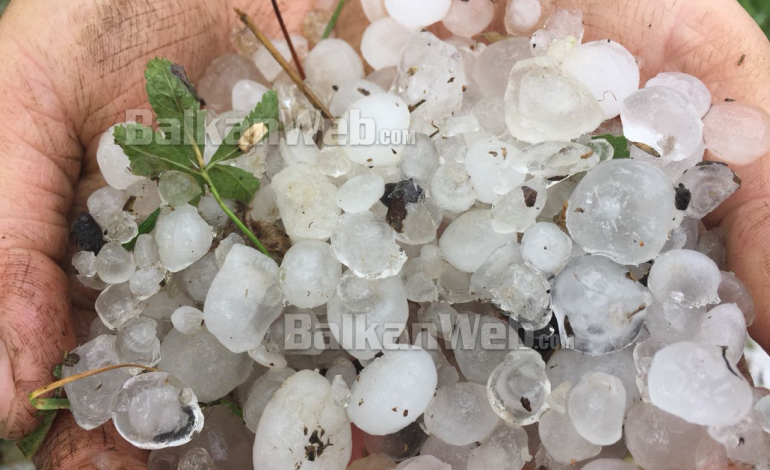 Situatë e jashtëzakonshme në Pukë, banorët: Breshër në këto përmasa s’ka rënë kurrë (FOTO)