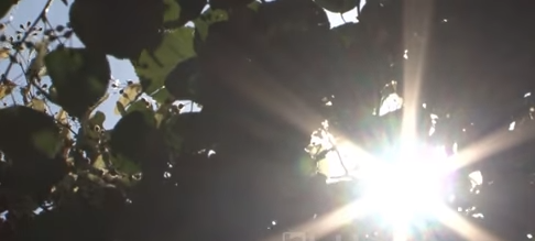 MOTI DHE “KAPRIÇOT”/ Gjatë fundjavës termometri kalon 38 gradë! Por të hënën… (VIDEO)