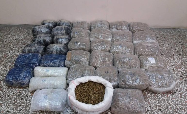 RAPORTI I DROGËS NË SHQIPËRI/ Zv.Ministrja e Brendshme: Shqipëria nuk është më në hartën e kultivimit