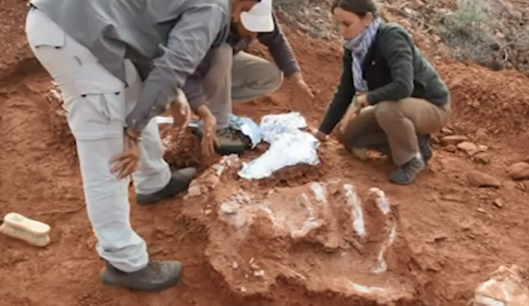 Zbulohet fosili 237 milionë vjeçar. I përket një dinosauri