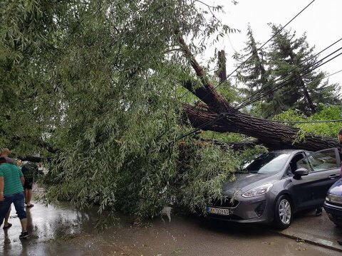 MOTI I KEQ NË TË GJITHË VENDIN/ Shiu i dendur RRËZON pemët në Fier. Rrezikohen… (FOTO)