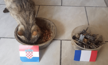 E PABESUESHME/ Macja bën parashikimin SURPRIZË për finalen e Botërorit