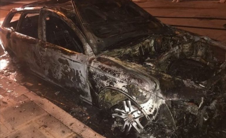 DOGJI “AUDIN” E NJË GRUAJE DHE E KËRCËNOI/ Si u kap 60-vjeçari që kërkonte BORXHIN e…