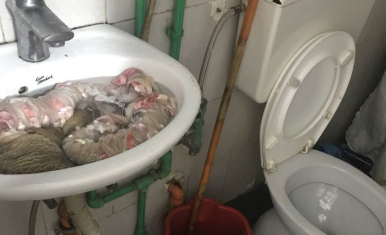 GJOBITEN 3 kasapë në Berat dhe u SEKUESTROHET mishi, tregtohej në kushte të rënda higjeno-sanitare