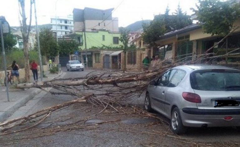 SHMANGET TRAGJEDIA NË SKRAPAR/ Pisha zë poshtë mjetin me çiftin e bashkëshortëve dhe fëmijën (FOTO)