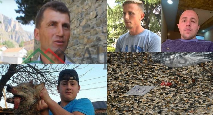 RASTET E “ÇUDITSHME” TË SULMEVE/ Nga 70-vjeçari i sulmuar nga LOPA deri tek djali që shpëtoi nga UJKU në oborr