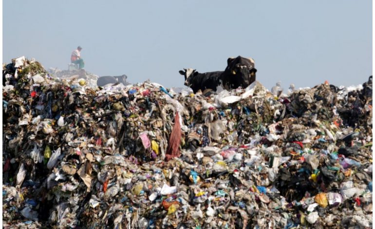 “Dy lopë dhe një pirg mbeturinash”/ EL PAIS publikon fotot më interesante në botë. Durrësi një ndër to