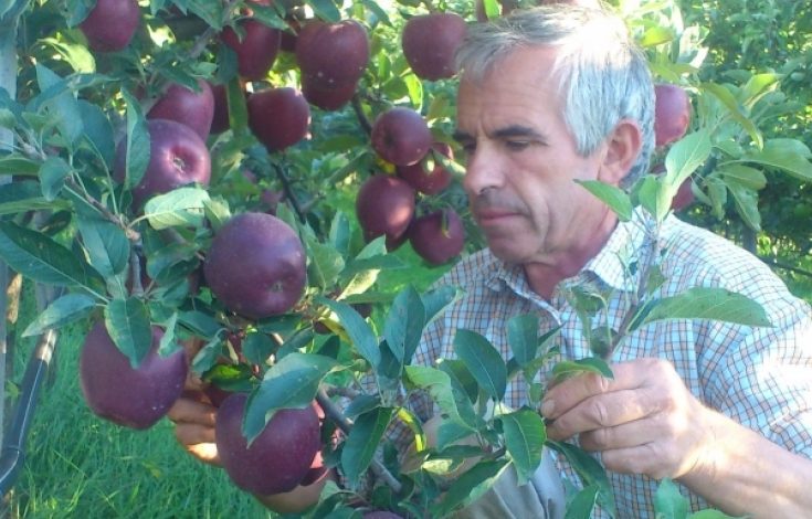 PRODHIMET VENDASE/ Fermerët e Dibrës: Jemi në periudhë pozitive. Të krijohen kooperativat
