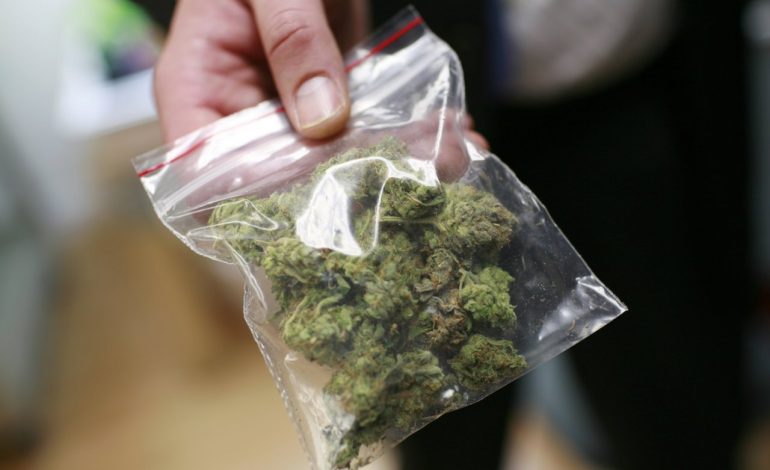 NDODH NË LEZHË/ 17 vjeçari kapet me TRE DOZA marijuanë. Policët…