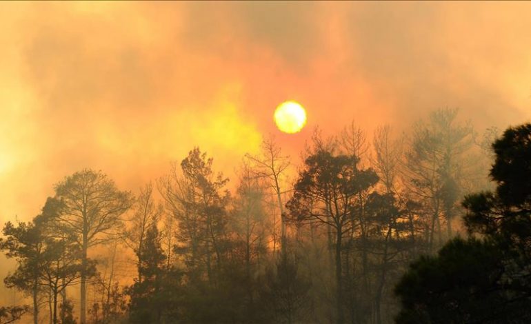 Zjarre në veri të Anglisë, erërat e forta e bëjnë më të vështirë shuarjen e flakëve