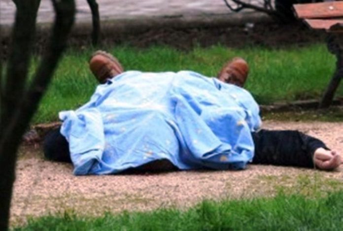 E RËNDË NË ELBASAN/ Hypën për të ngrënë mana, bie nga pema dhe vdes 44 vjeçari… (EMRI)