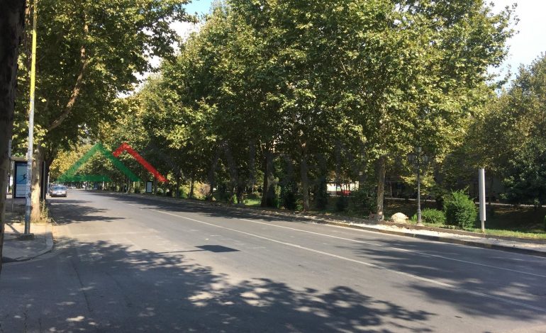E DIELA NË KRYEQYTET/ Tirana e “BRAKTISUR”. Temperaturat e LARTA “dërgojnë” qytetarët në plazh (FOTO)