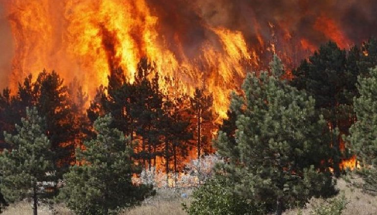 IGJEUM NGRE ALARMIN: Shkodra, Dibra, Korça dhe Gjirokastra të rrezikuara nga zjarret në pyje