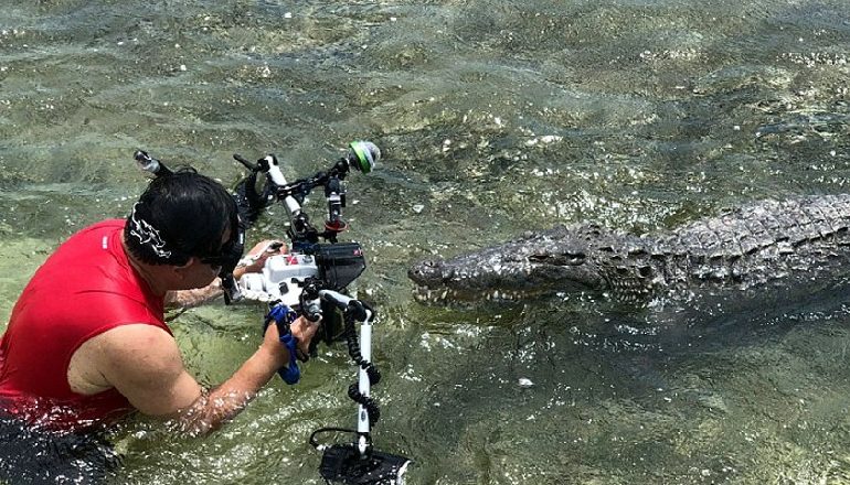 I apasionuar për foto artistike, fotografi sfidon vdekjen para përbindëshit të rrezikshëm