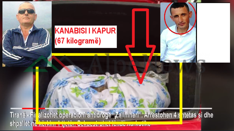 67 KILOGRAMË KANABIS NË “GOLF”/ Si e kishin MBULUAR ME ÇARÇAF drogën. E kishin lënë në… (VIDEO+FOTO)