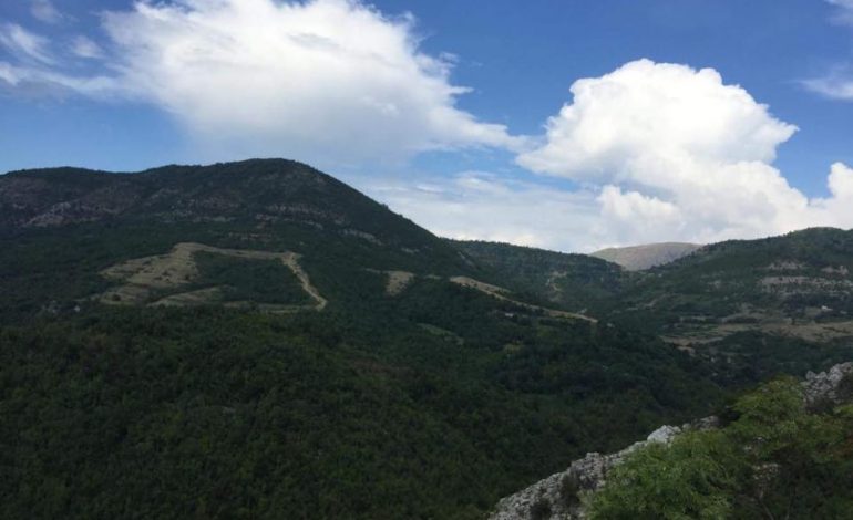 DENONCIMI/ Berisha nxjerr fotot e arave me hashash: Ja ç’bëhet te përroi i Gjatushit