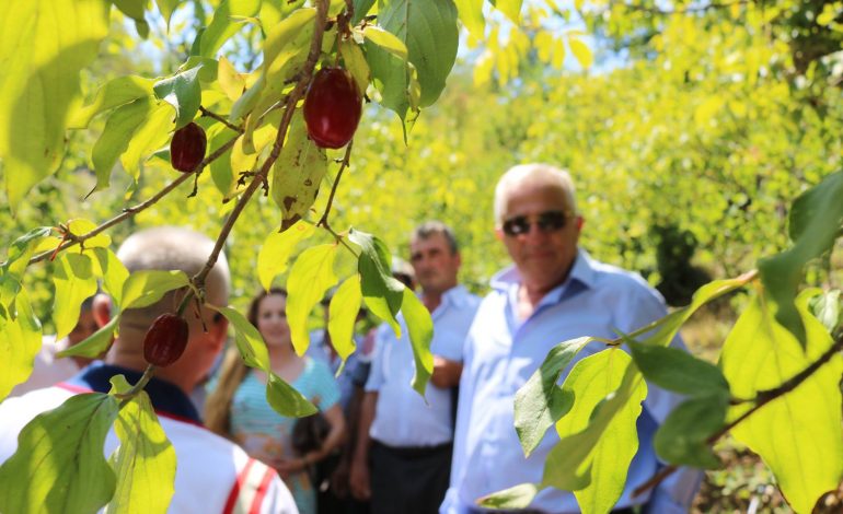 DESTINACIONI PUKË/ FOTO: Ndryshimet në qytet, RRITET interesi për turizëm