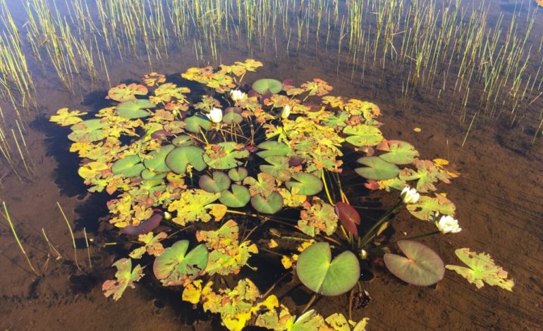 20 Liqenet akullnajore të Balgjait, perlat e kristalta të Dibrës (FOTO)