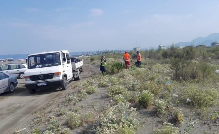 NDËRHYRJET NË LEZHË/ Pastrimi higjienik në plazhin e Tales: Rekord në zonat me…