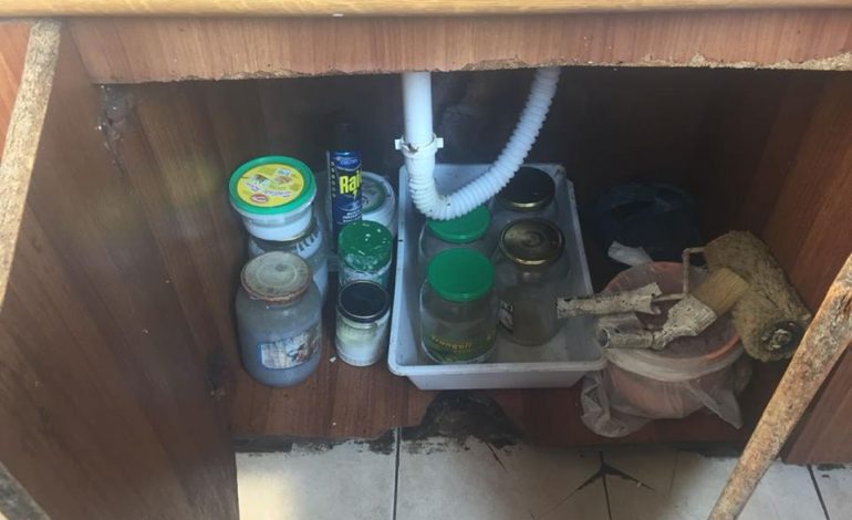 PAMJET E RËNDA NGA “RESTORANTET” E DIBRËS/ Aty ku GATUHEJ ushqimi MBYTEJ nga myku. Pronarët nuk kishin…