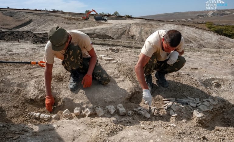 Gjendet në tokë balena 10 milionë vjeçare