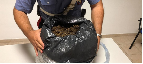 PËRDORTE SHTËPINË SI PIKË SHPËRNDARJE/ Si u kap 23 vjeçari me 10 KG KANABIS